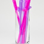 Ann Summers Willy Straws Six Pack